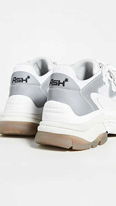 Addict Sneakers
