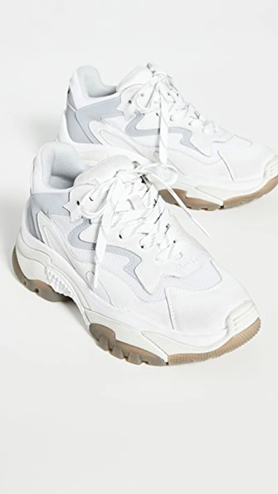 Shop Ash Addict Sneakers In White/silver