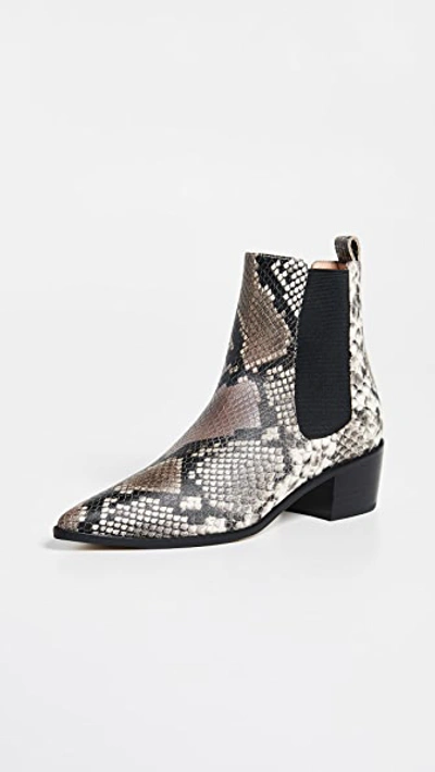 Shop Matiko Jillian Point Toe Booties In Natural Python Printed Snake