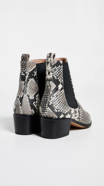 Shop Matiko Jillian Point Toe Booties In Natural Python Printed Snake