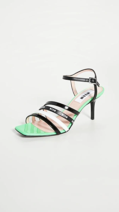 Shop Msgm Multi Strap Sandals In Neon Green