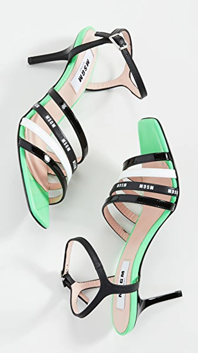 Shop Msgm Multi Strap Sandals In Neon Green