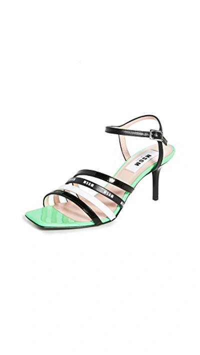 Shop Msgm Multi Strap Sandals In Neon Green