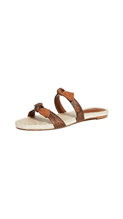 Shop Alexandre Birman Clarita Braided Flat Exotic Slides In Almond