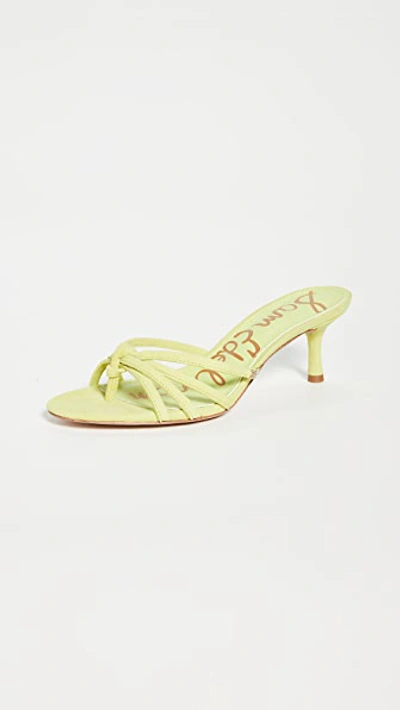 Shop Sam Edelman Jedda Slides In Lime