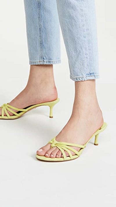 Sam Edelman Jedda Mid heel Thong Sandals Women s Shoes In Lime