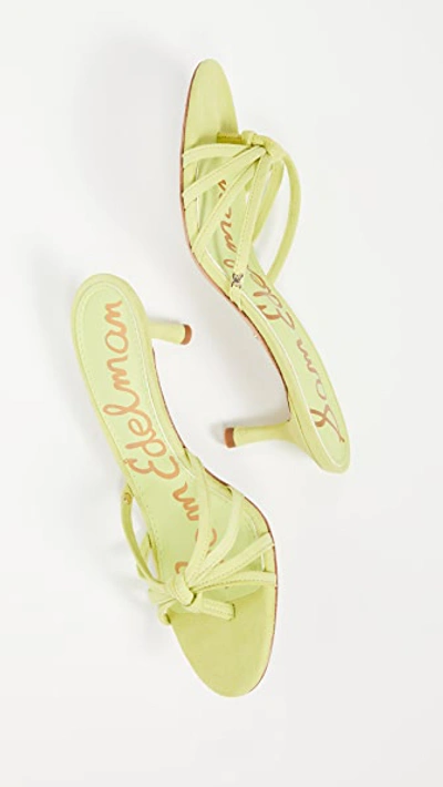 Shop Sam Edelman Jedda Slides In Lime