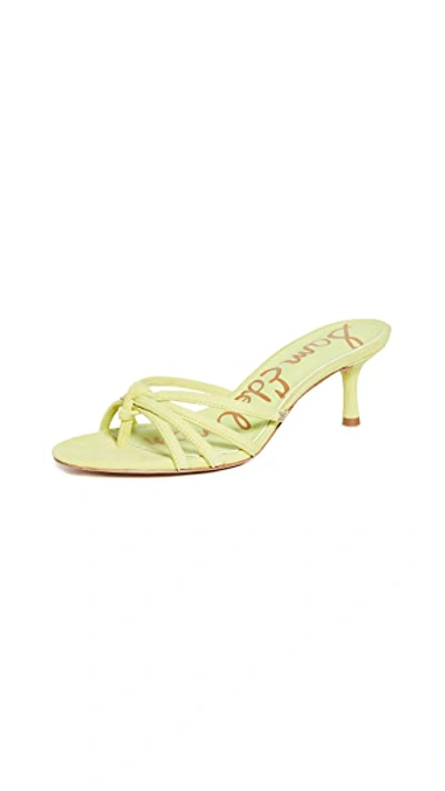 Shop Sam Edelman Jedda Slides In Lime