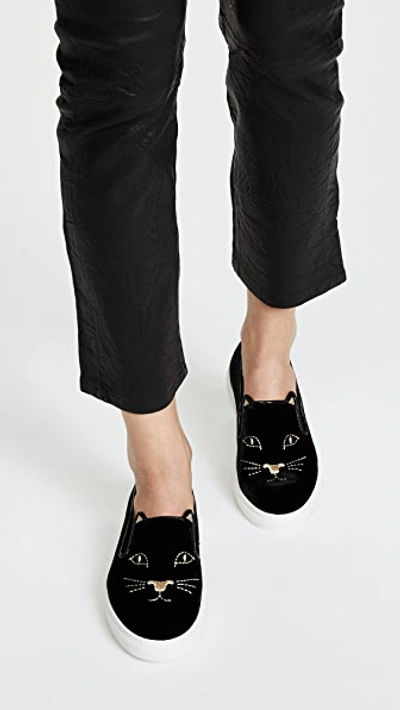 Shop Charlotte Olympia Cool Cats Trainers In Black