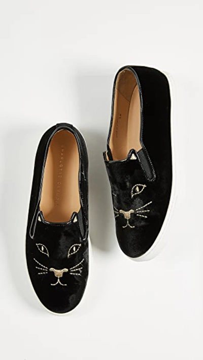 Shop Charlotte Olympia Cool Cats Sneakers In Black