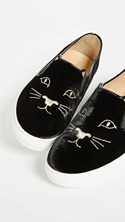 Shop Charlotte Olympia Cool Cats Trainers In Black