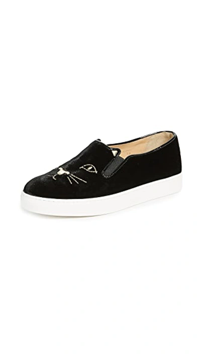 Shop Charlotte Olympia Cool Cats Trainers In Black