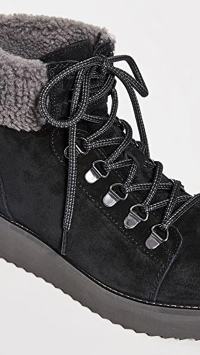 Shop Sam Edelman Franc Boots In Black Suede