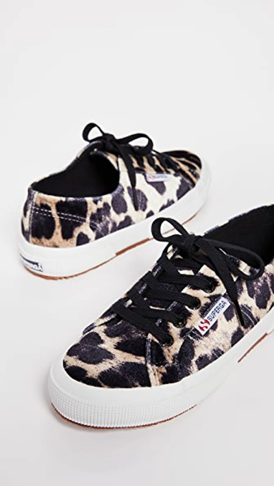 Superga Women's Leopard Print Velvet Classic Lace Up Sneakers | ModeSens