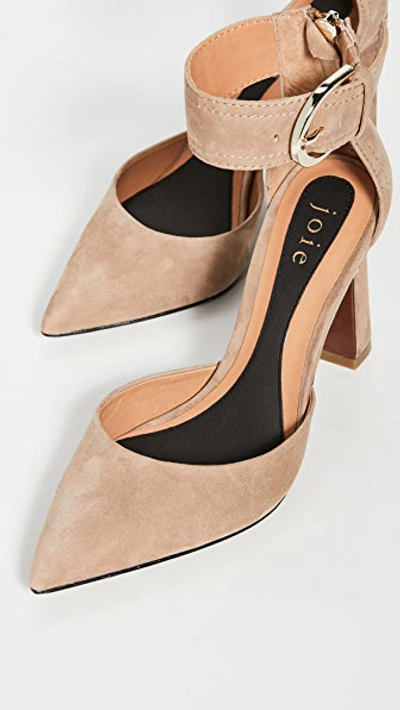 Shop Joie Aglet Pumps In Camel