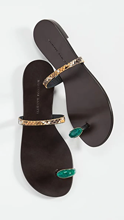 Zanotti toe ring sandal hot sale