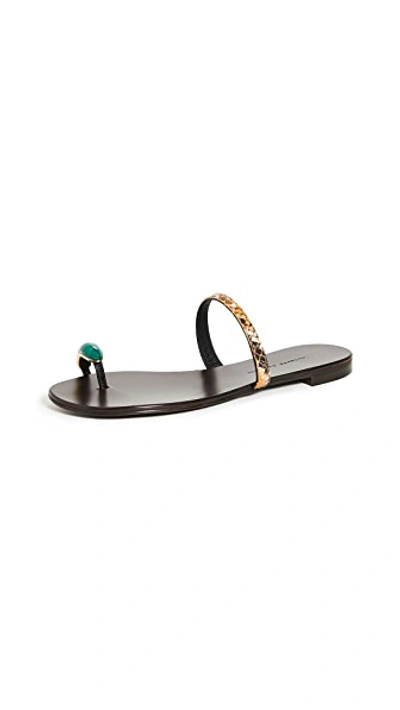 Shop Giuseppe Zanotti Nuvòrock 10 Slides In Mirelle Polline