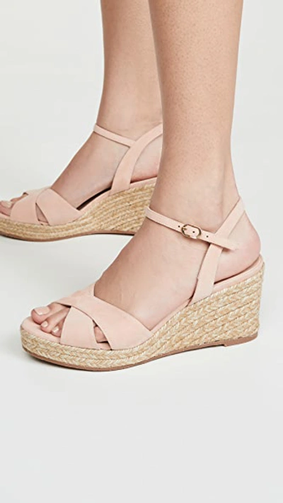 Shop Stuart Weitzman Rosemarie Espadrilles In Poudre