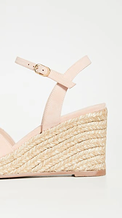 Shop Stuart Weitzman Rosemarie Espadrilles In Poudre