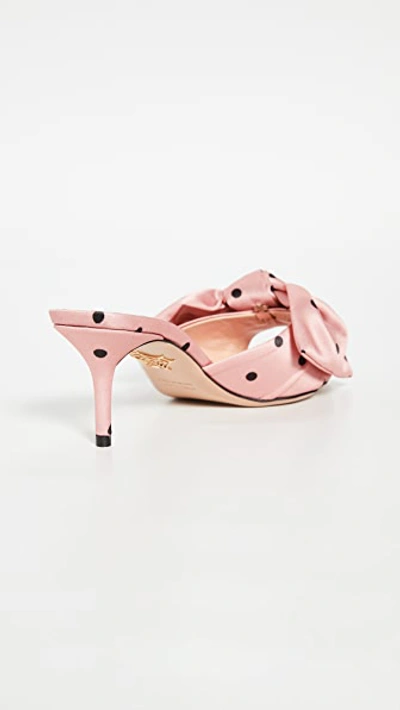 Shop Charlotte Olympia Polka Dot Bow Sandals In Pink