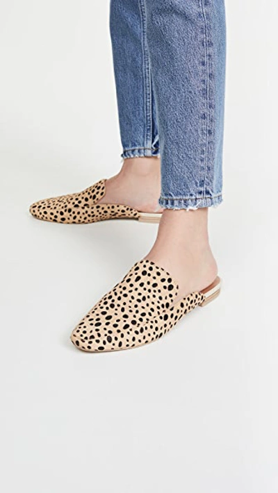 Shop Dolce Vita Halee Flats In Leopard