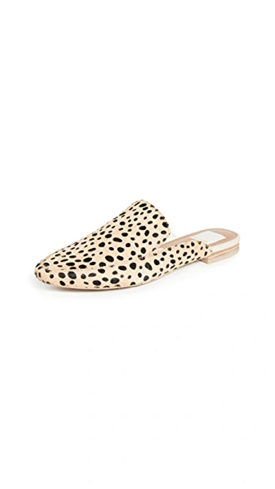 Shop Dolce Vita Halee Flats In Leopard