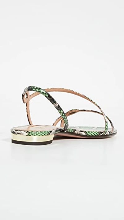 Serpentine Sandal Flats