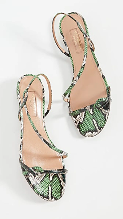 Serpentine Sandal Flats