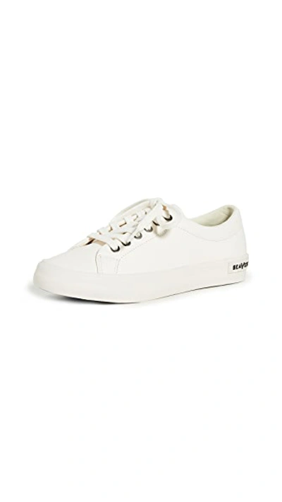 Shop Seavees Gallery Sneakers In White