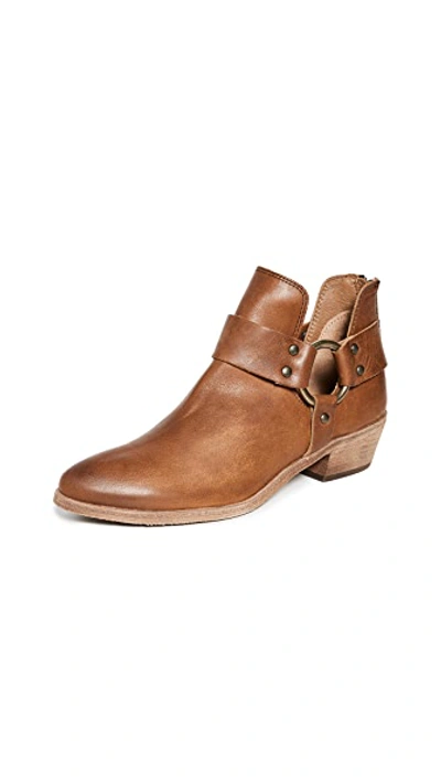 Shop Frye Ray Harness Back Zip Booties In Caramel