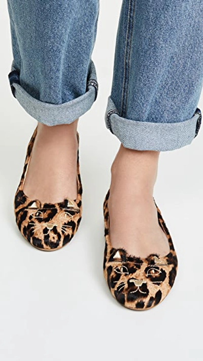 Shop Charlotte Olympia Kitty Soft Ballet Flats In Leopard