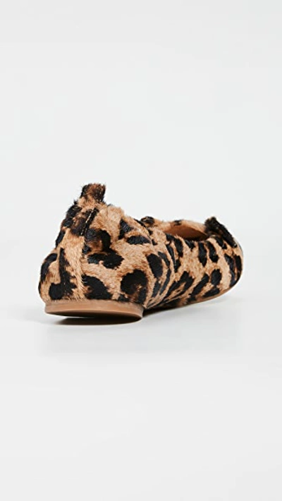 Shop Charlotte Olympia Kitty Soft Ballet Flats In Leopard