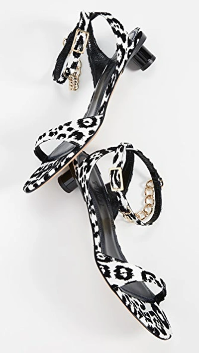 Shop Tibi Nathan Sandals In Black/white Multi