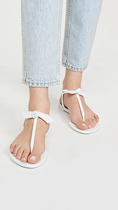 Shop Alexandre Birman Clarita Jelly Sandals In White