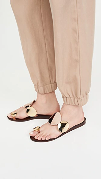 Shop Tory Burch Patos Multi Disk Sandals In Mou