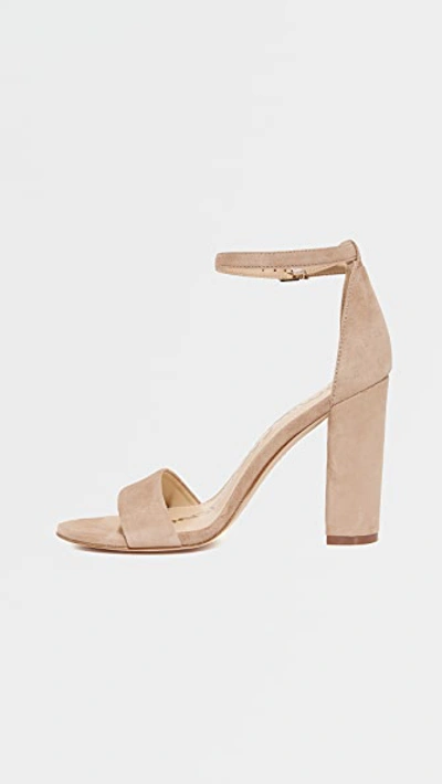 Shop Sam Edelman Yaro Suede Sandals In Oatmeal