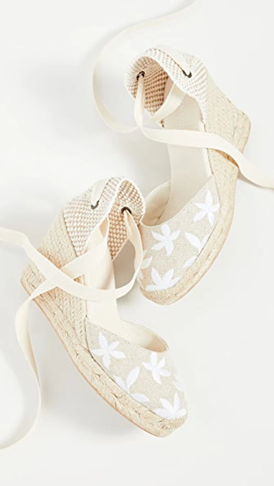 Shop Soludos Floral Classic Wedge Espadrilles In Sand