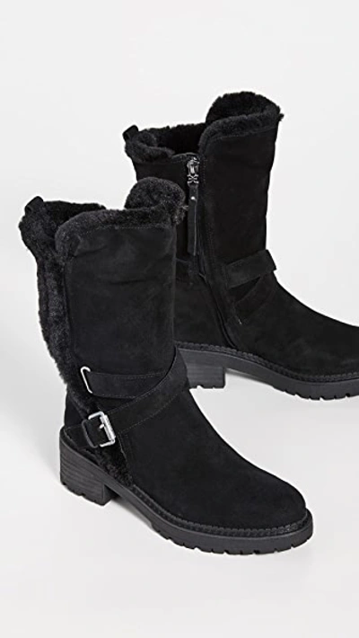 Shop Sam Edelman Jailyn Boots In Black
