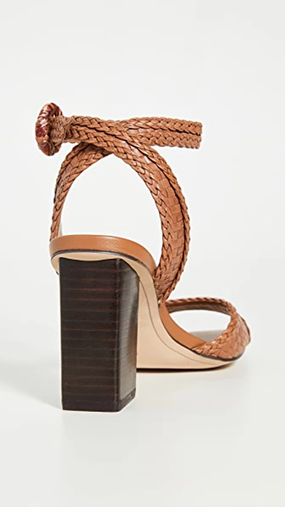 Shop Sam Edelman Danee Sandals In Saddle