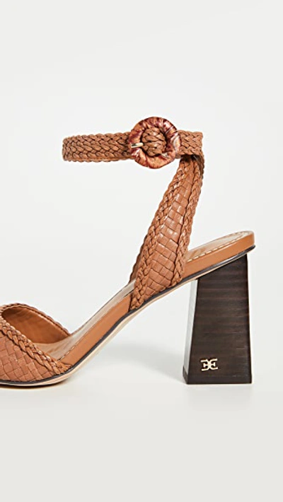 Shop Sam Edelman Danee Sandals In Saddle