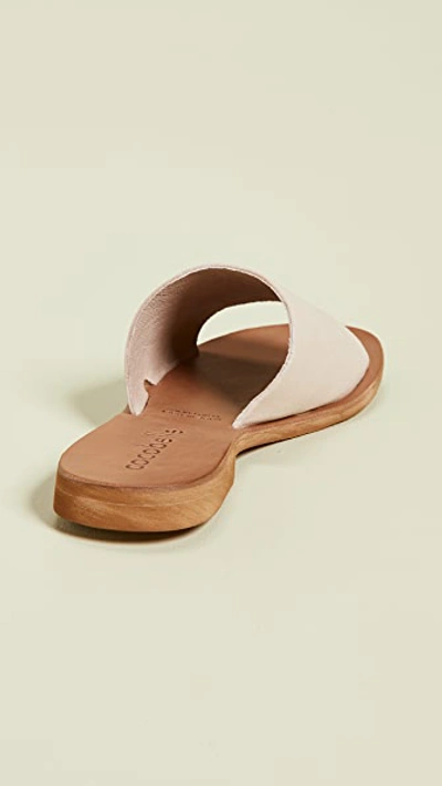 Shop Cocobelle Bhea Slides In Ecru