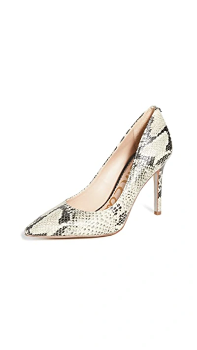 Shop Sam Edelman Hazel Pumps In Black/snake Print