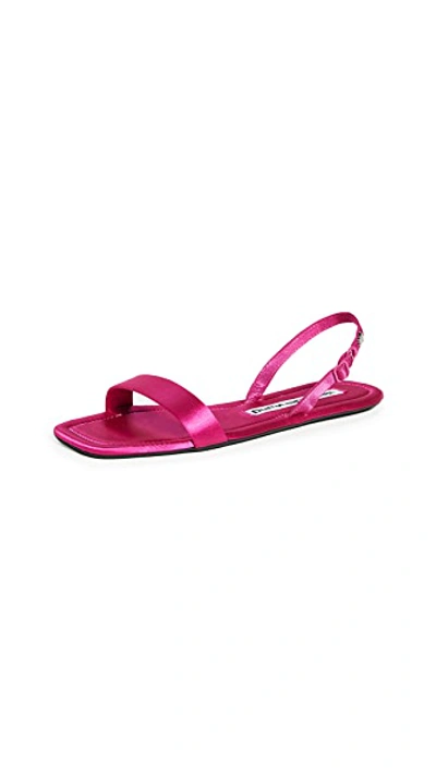 Shop Alexander Wang Ryder Sandals In Hot Pink