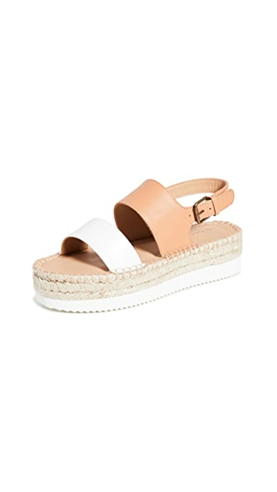 Shop Soludos Ali Sport Sandals In Camel/white