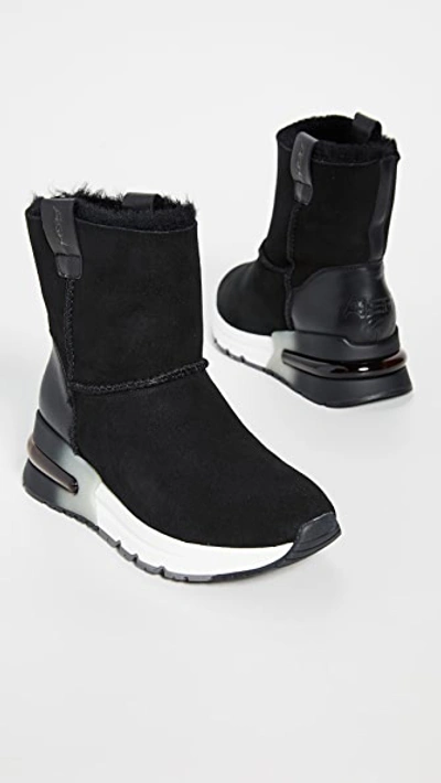 Shop Ash Kyoto Sneaker Boots In Black/black