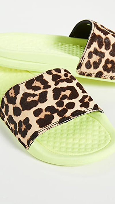 Shop Apl Athletic Propulsion Labs Iconic Calf Hair Slides In Energy/leopard