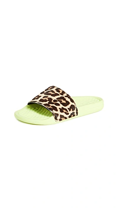 Shop Apl Athletic Propulsion Labs Iconic Calf Hair Slides In Energy/leopard