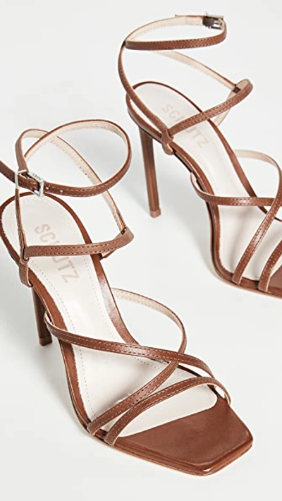 Shop Schutz Cloe Sandals In Walnut