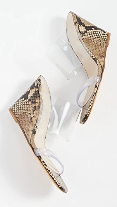 Shop Maryam Nassir Zadeh Olympia Wedges In Viper