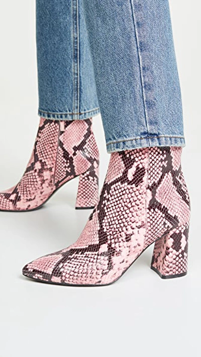 Shop Alice And Olivia Delanie Booties In Blossom